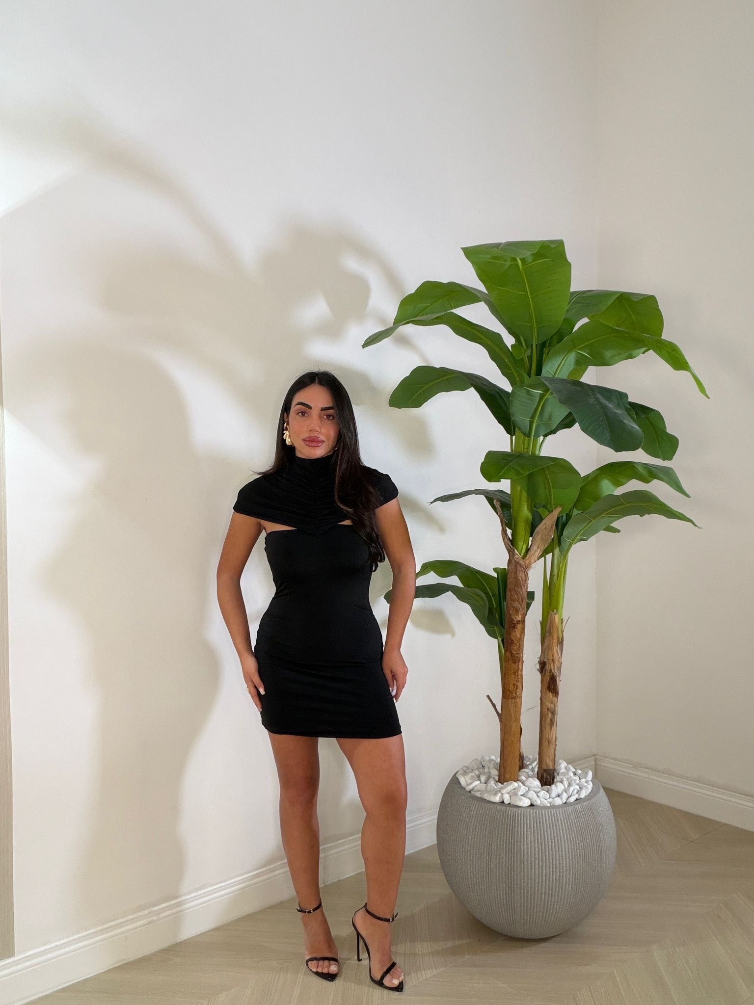 Dress Felicity