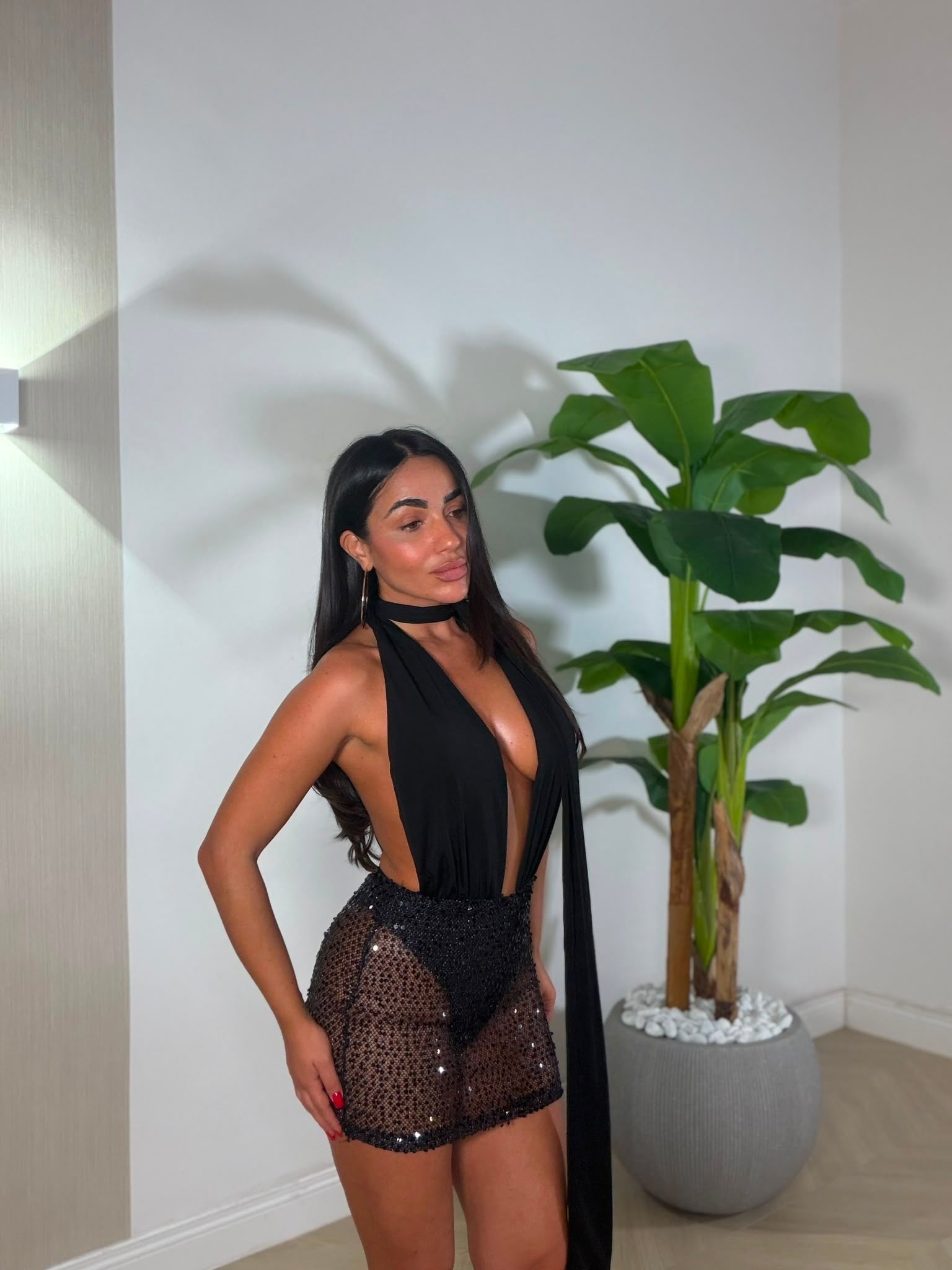 Dress Damian Pailettes