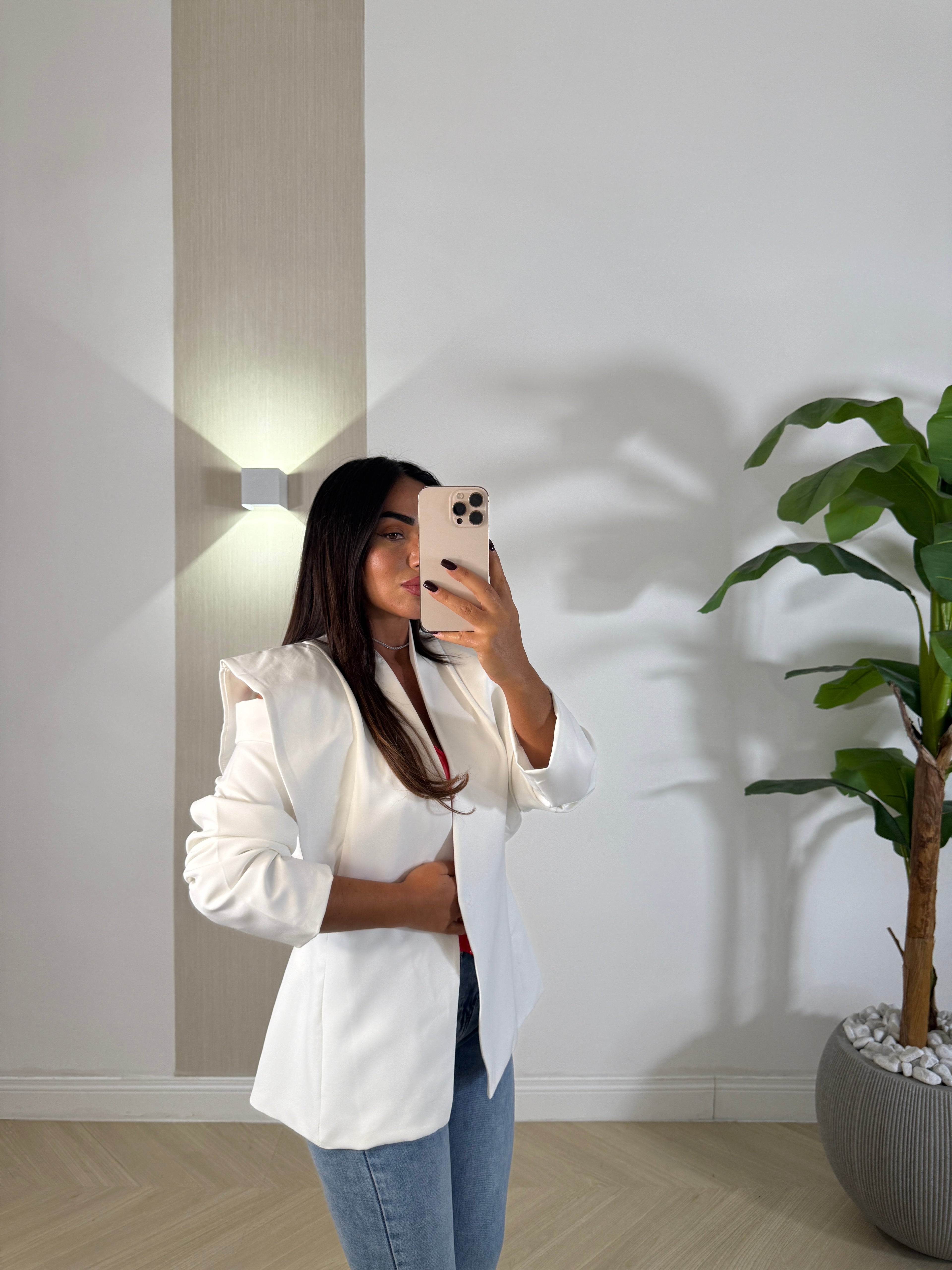 Blazer Nandy