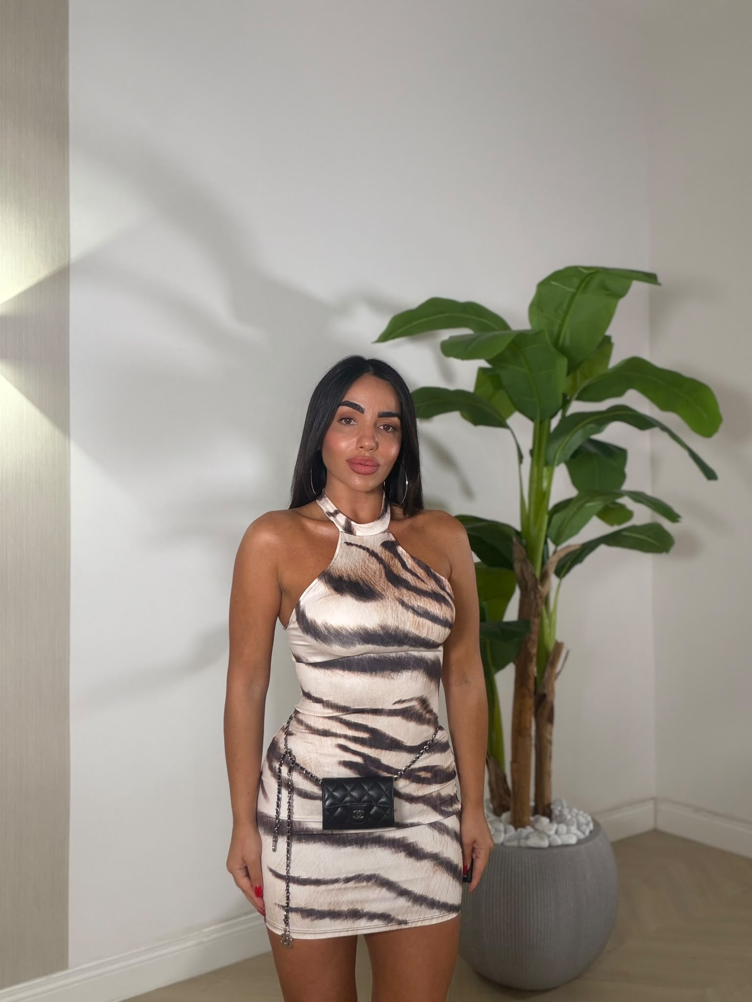 Dress Blouse Zebrato