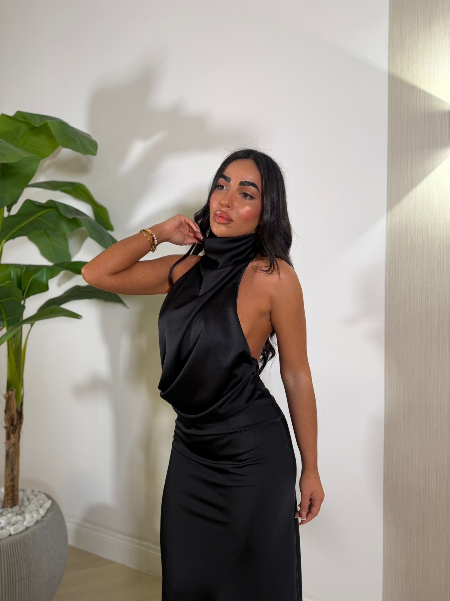 Dress Fanatic