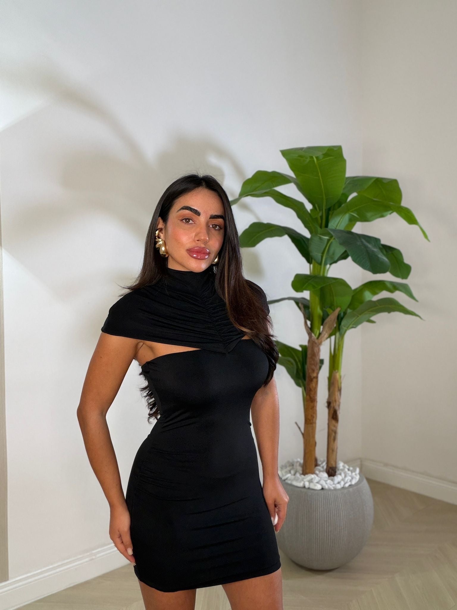 Dress Felicity