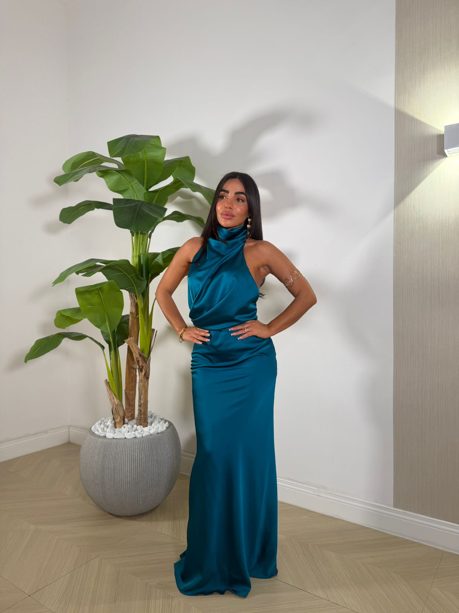 Dress Fanatic