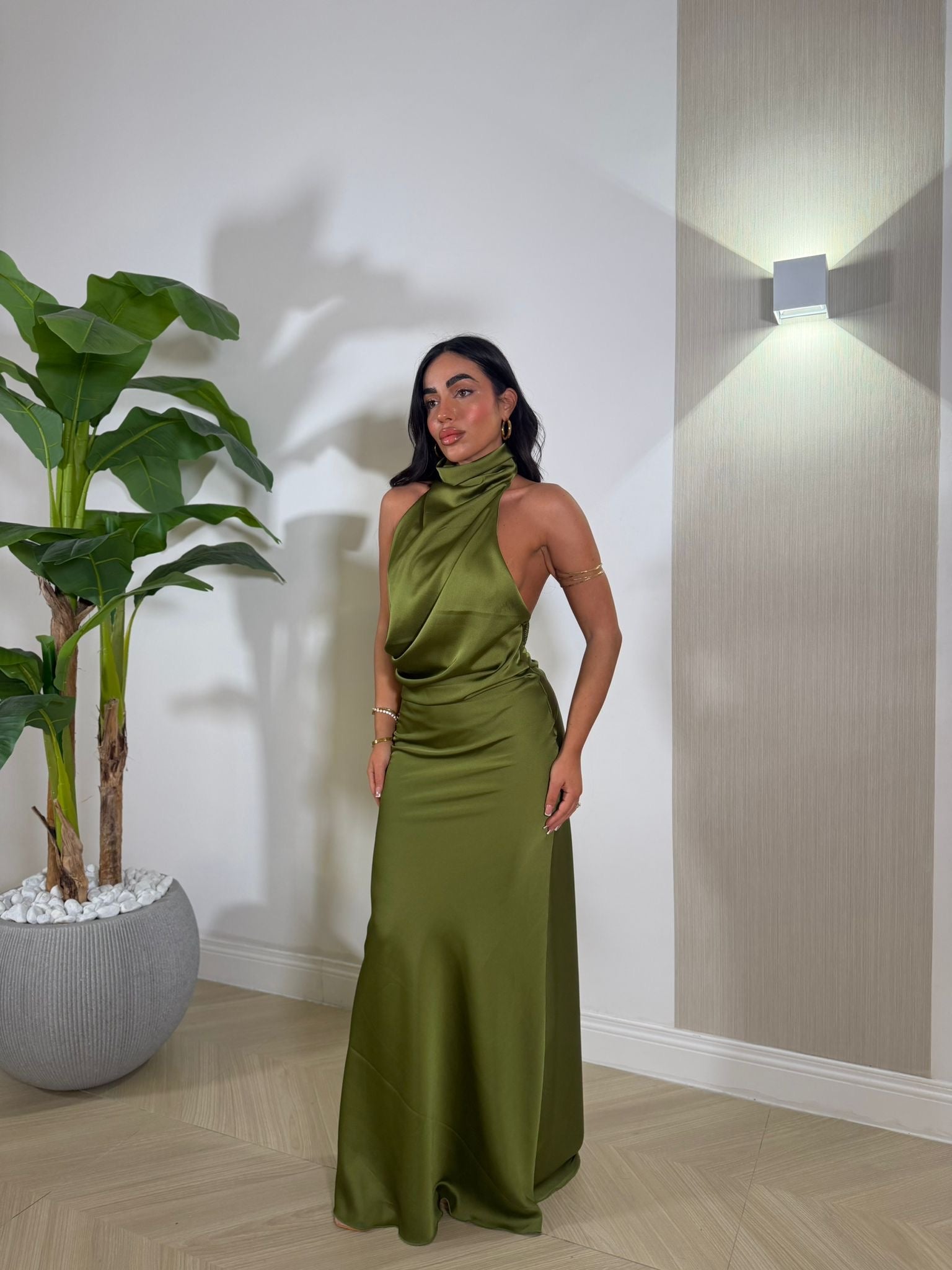Dress Fanatic