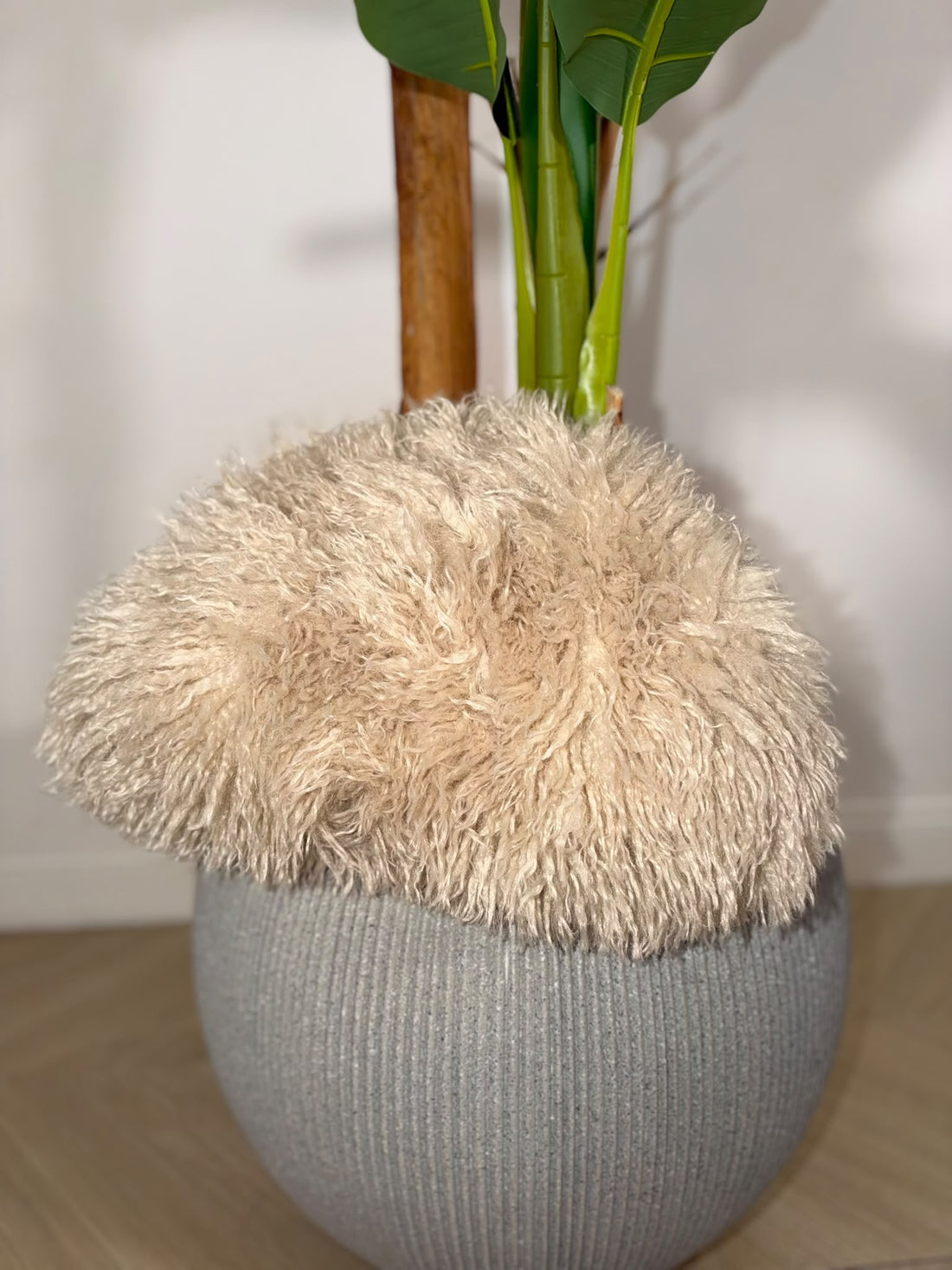 Pochette Orsetto