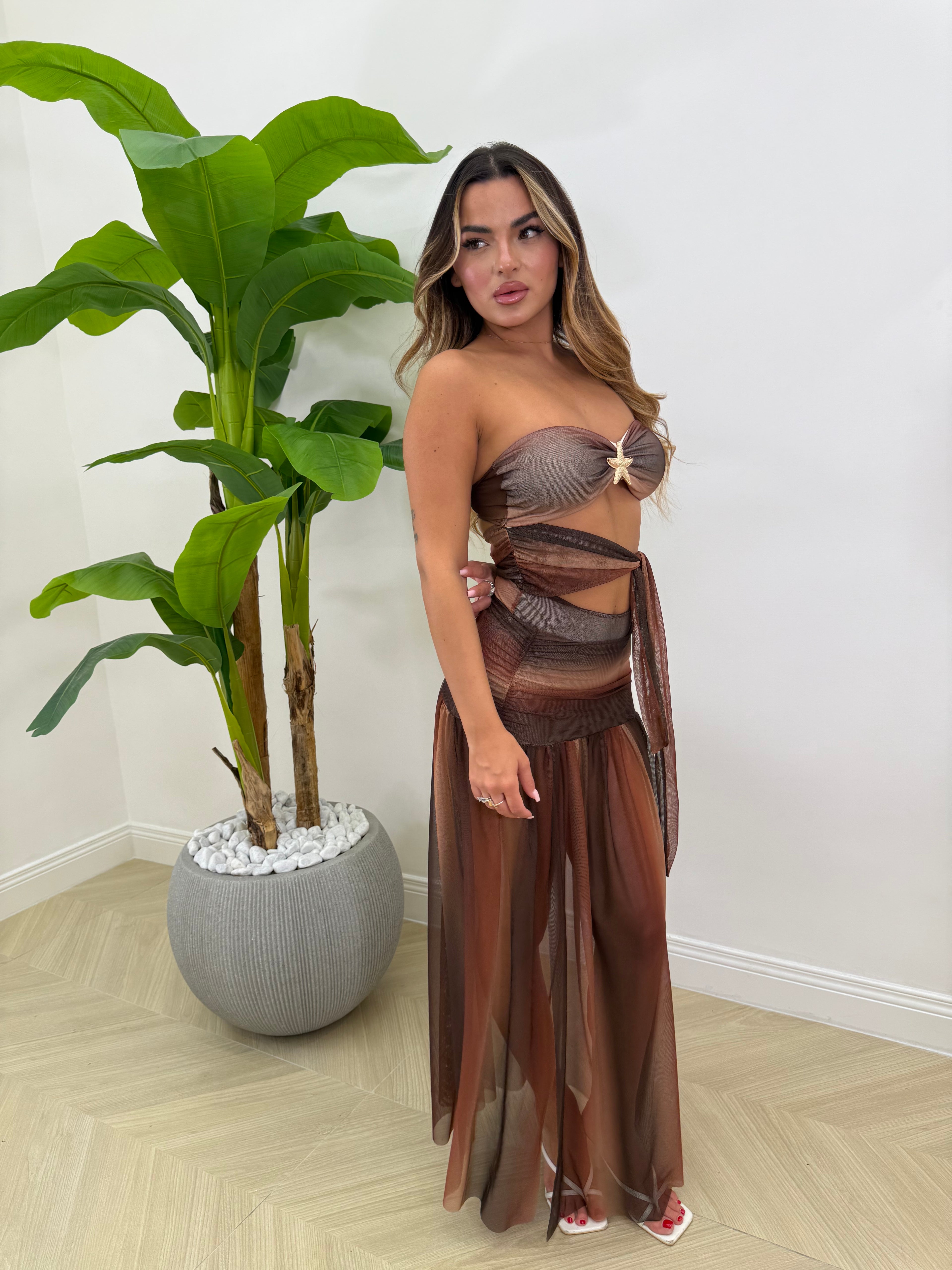 Coordinato Stella Marina