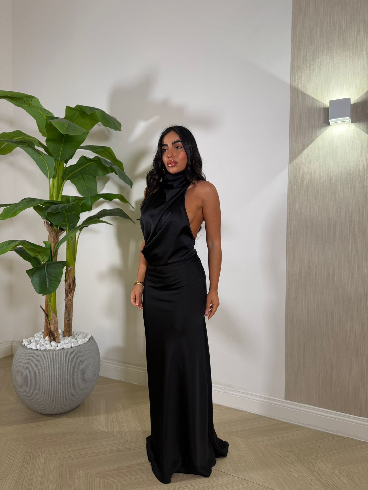 Dress Fanatic
