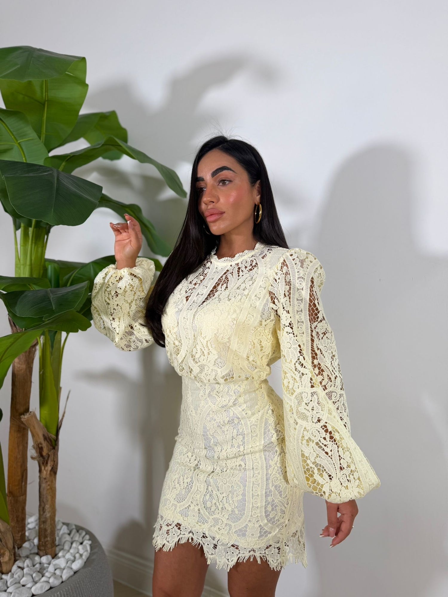 Dress Ethan