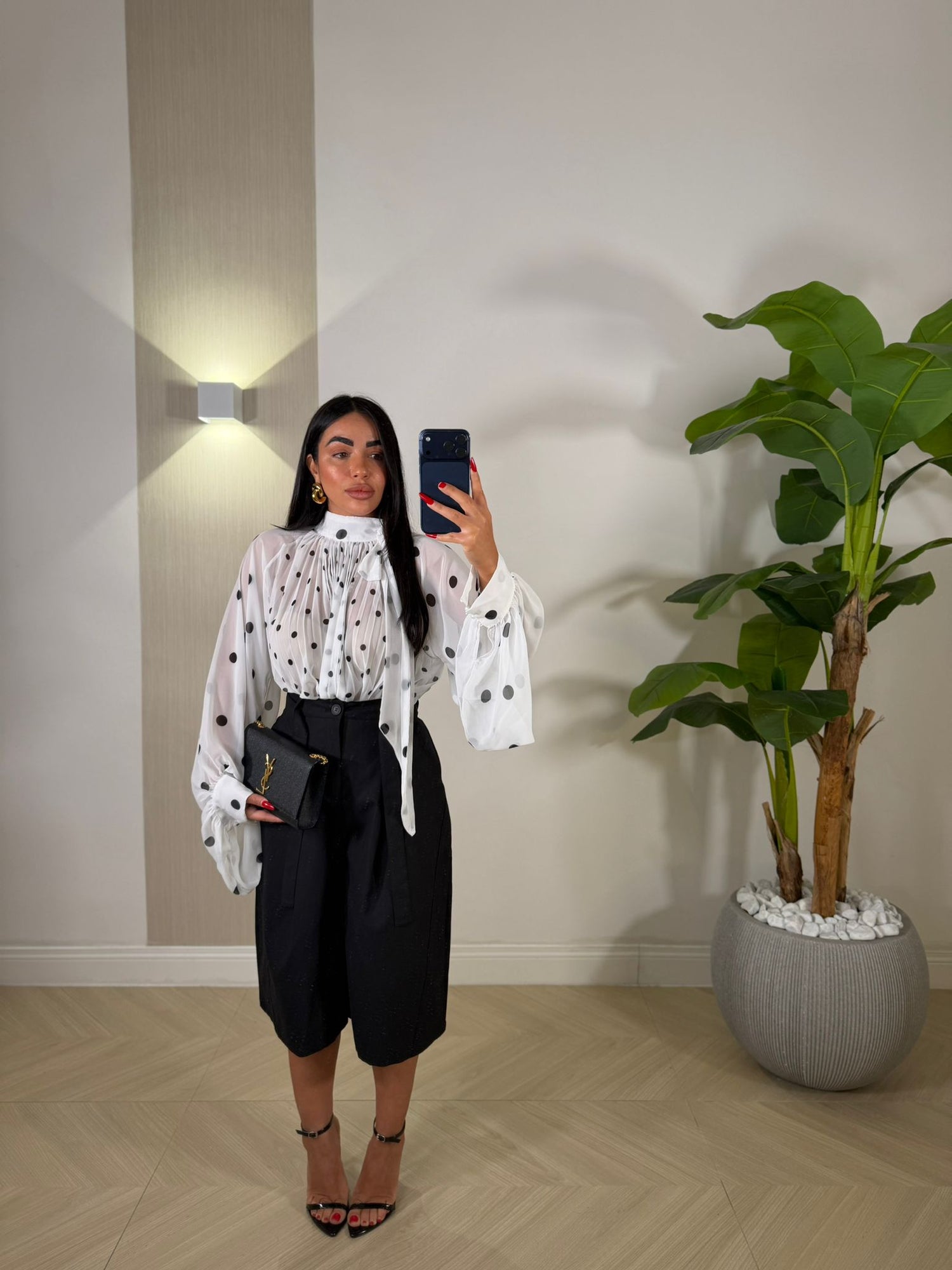 Bermuda Giove