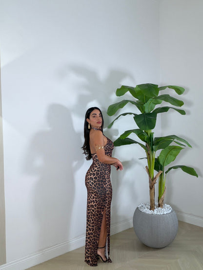Dress Don&
