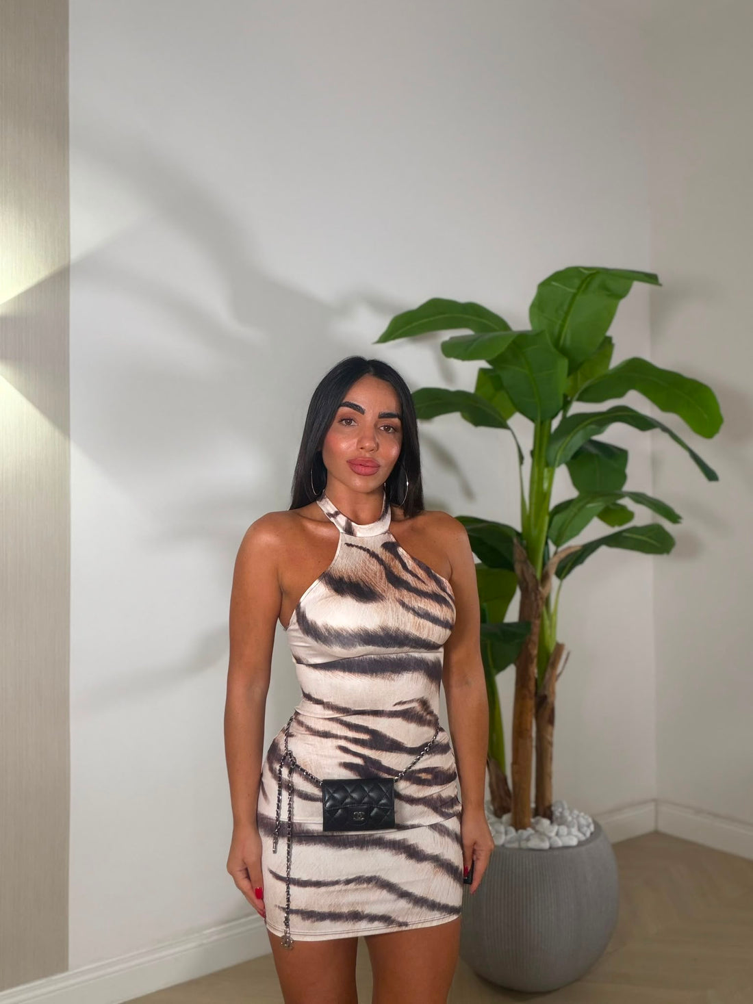 Dress Blouse Zebrato