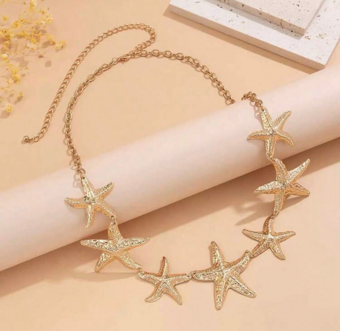 Cintura Stella marina