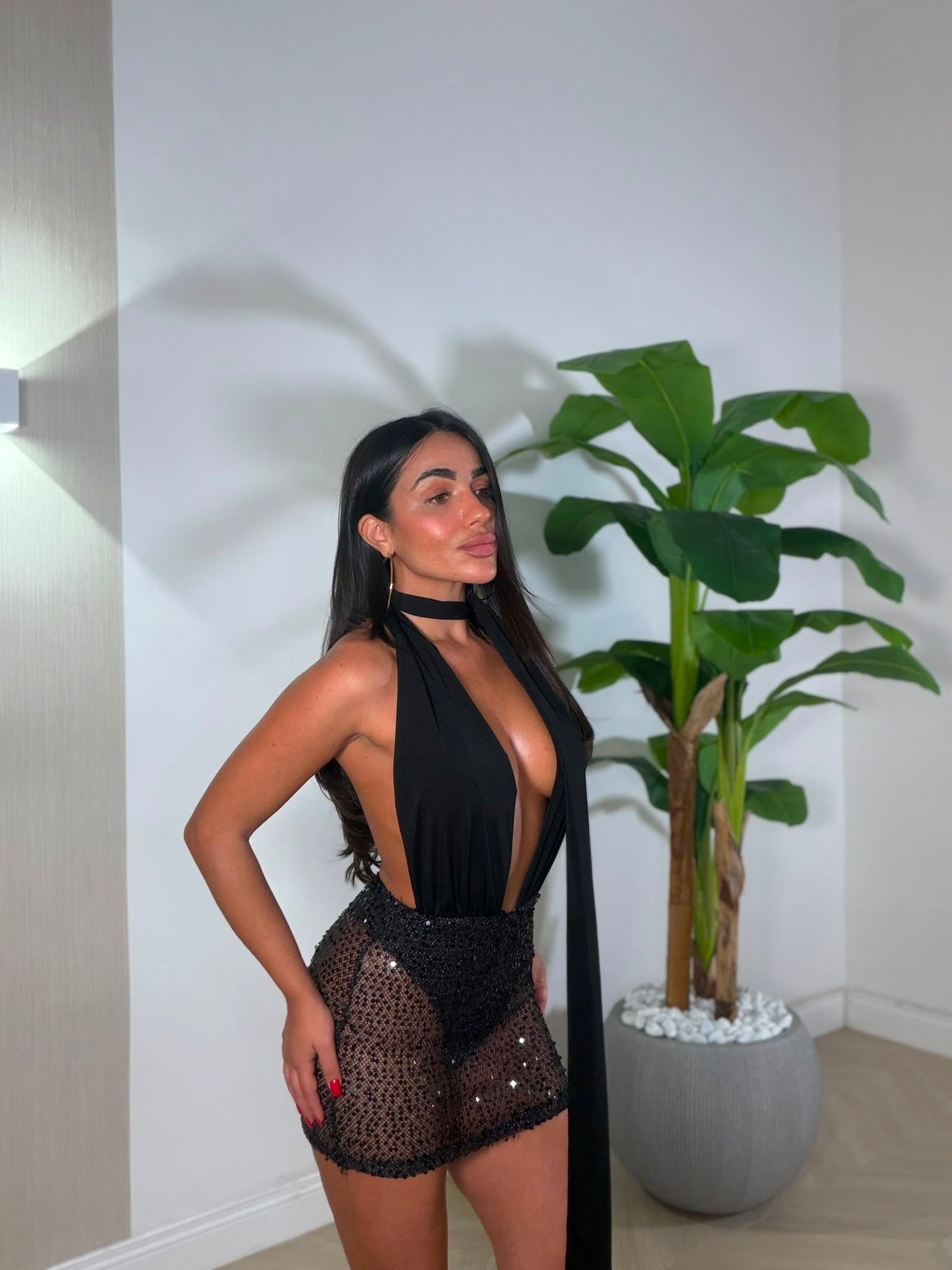 Dress Damian Pailettes