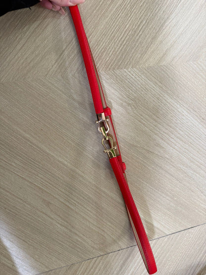 Cintura Ferrari
