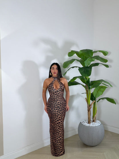 Dress Don&
