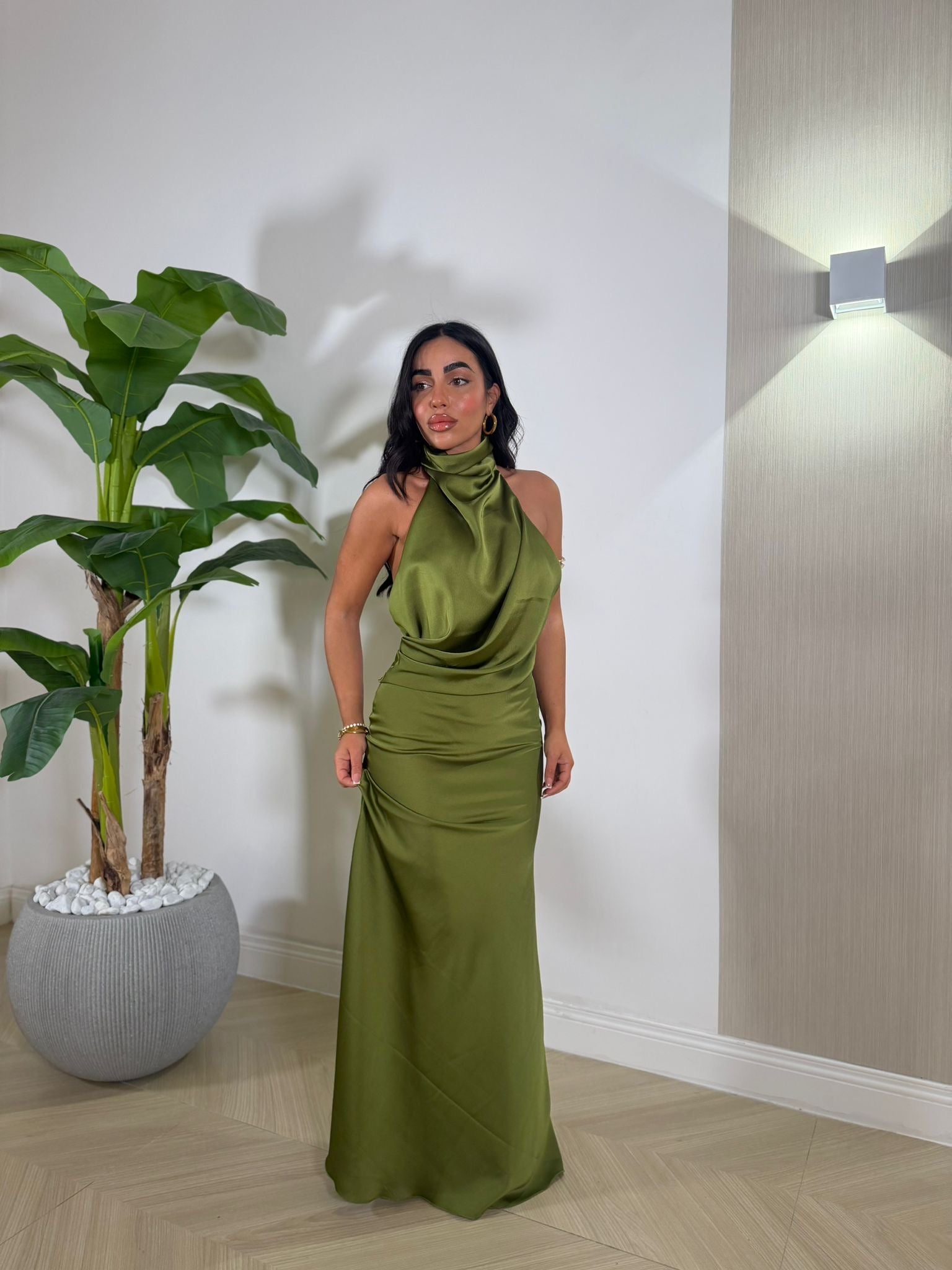 Dress Fanatic