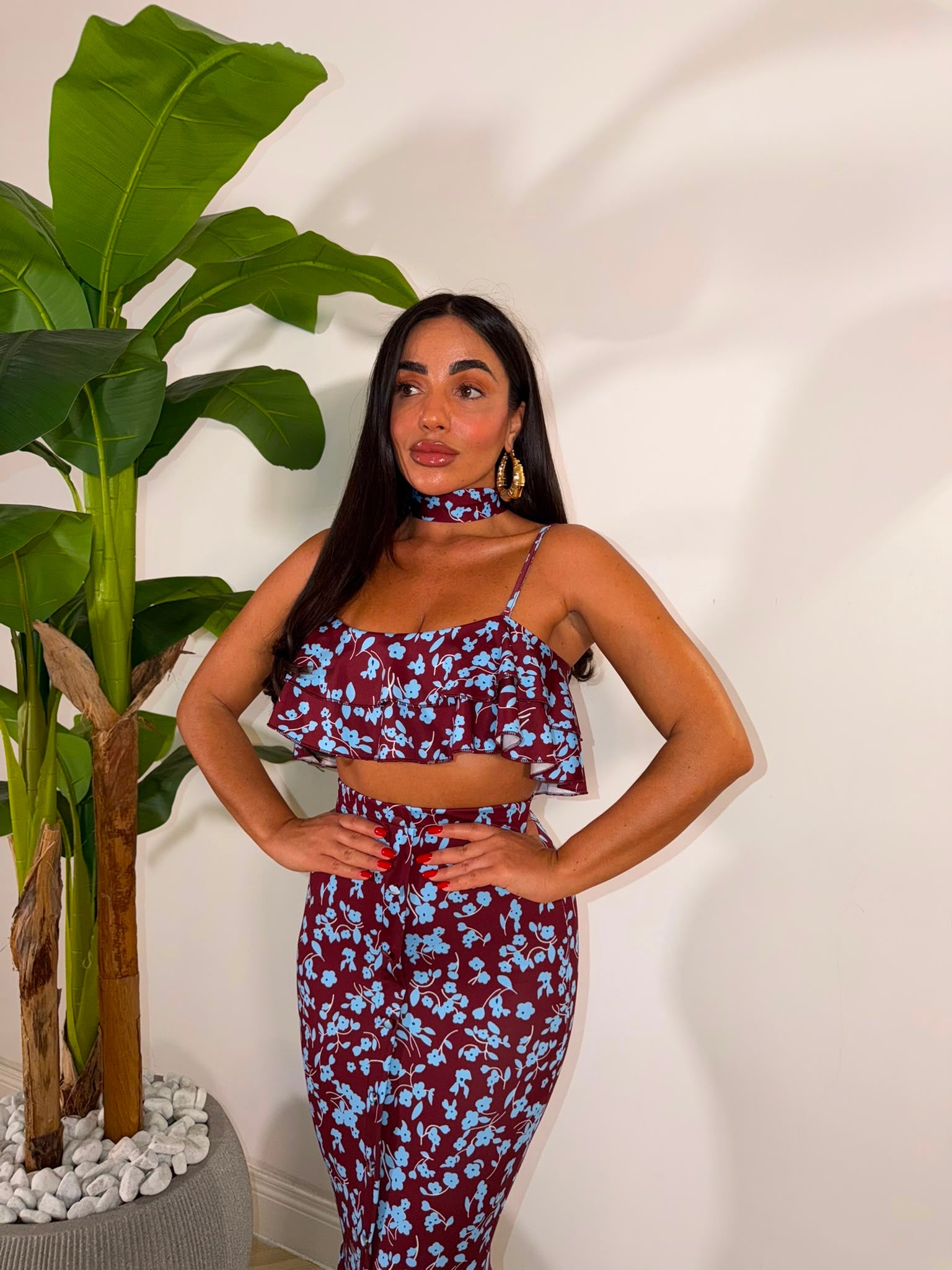 Coordinato Sander