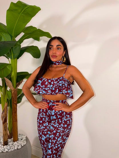 Coordinato Sander