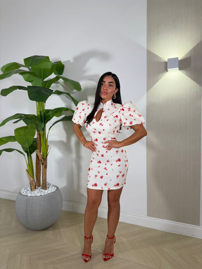 Dress Fiorellini Rossi