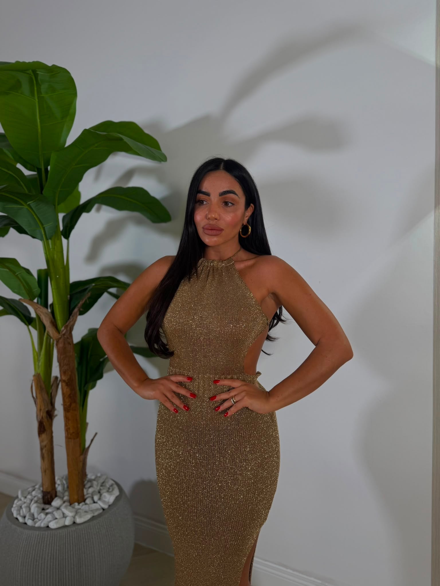 Dress Naylia
