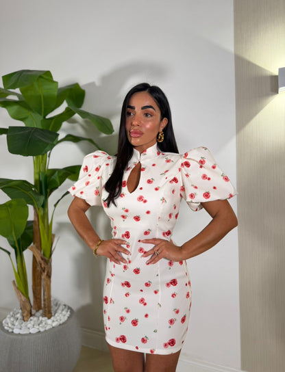 Dress Fiorellini Rossi