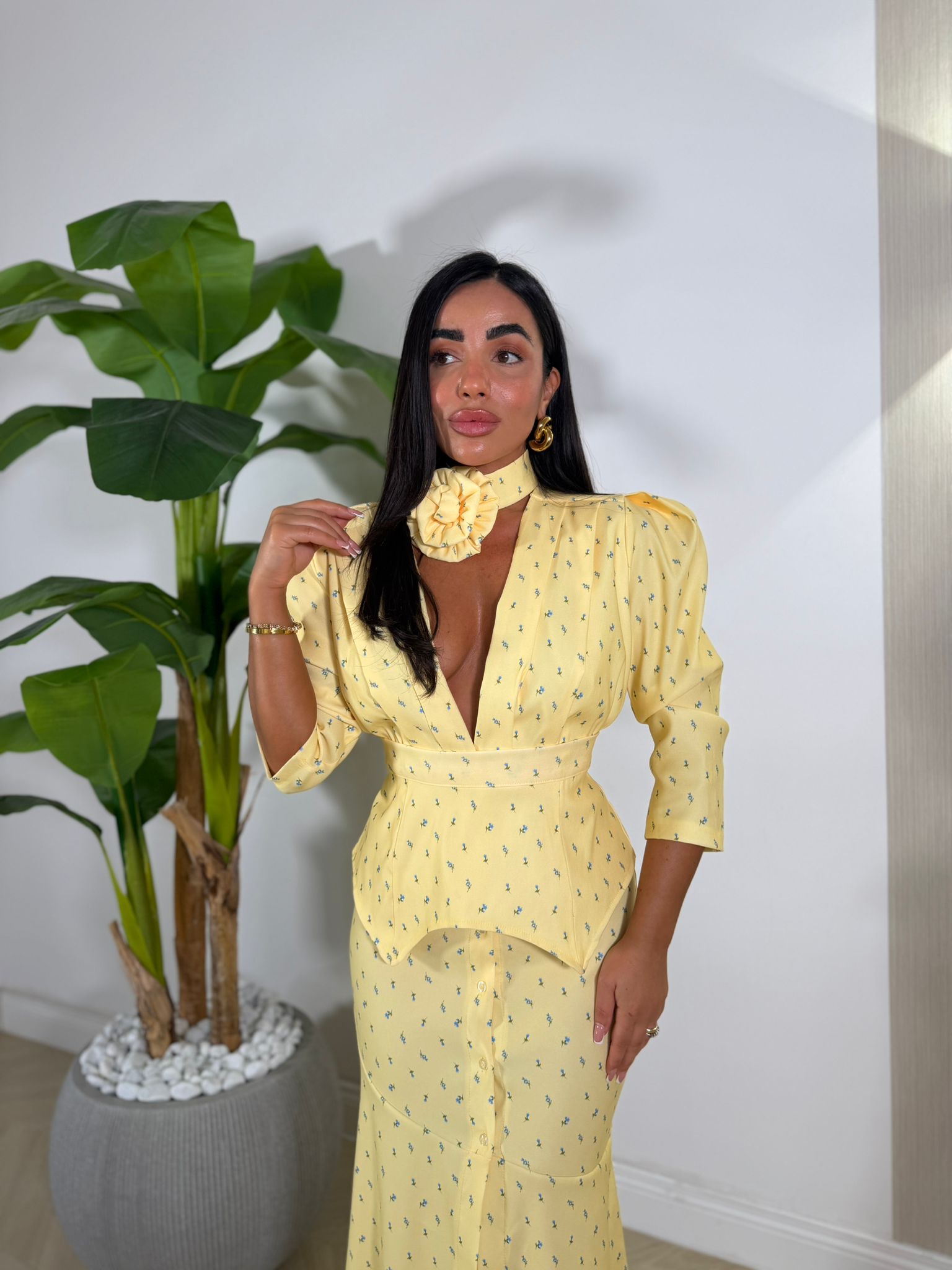 Dress Reina