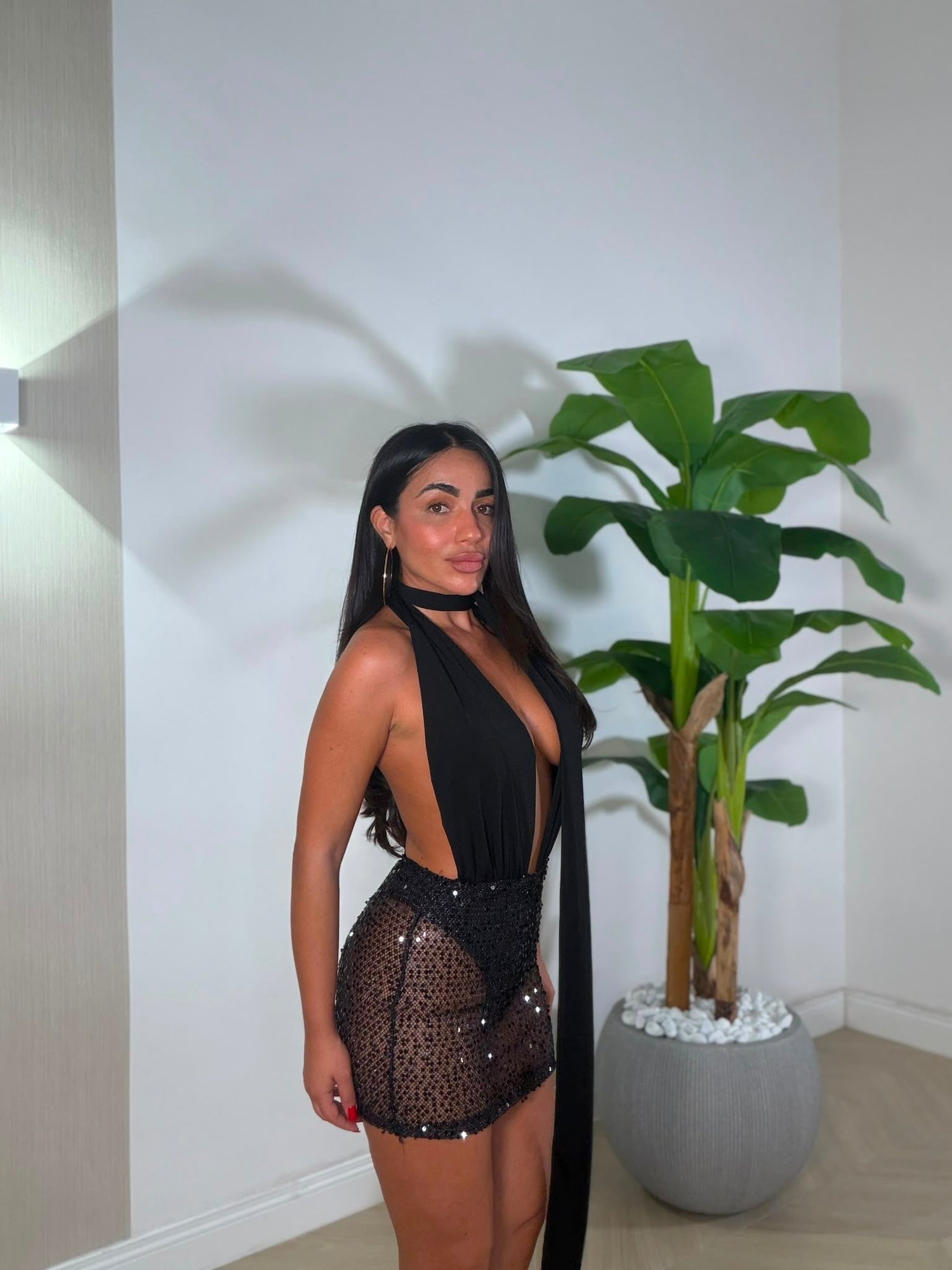 Dress Damian Pailettes