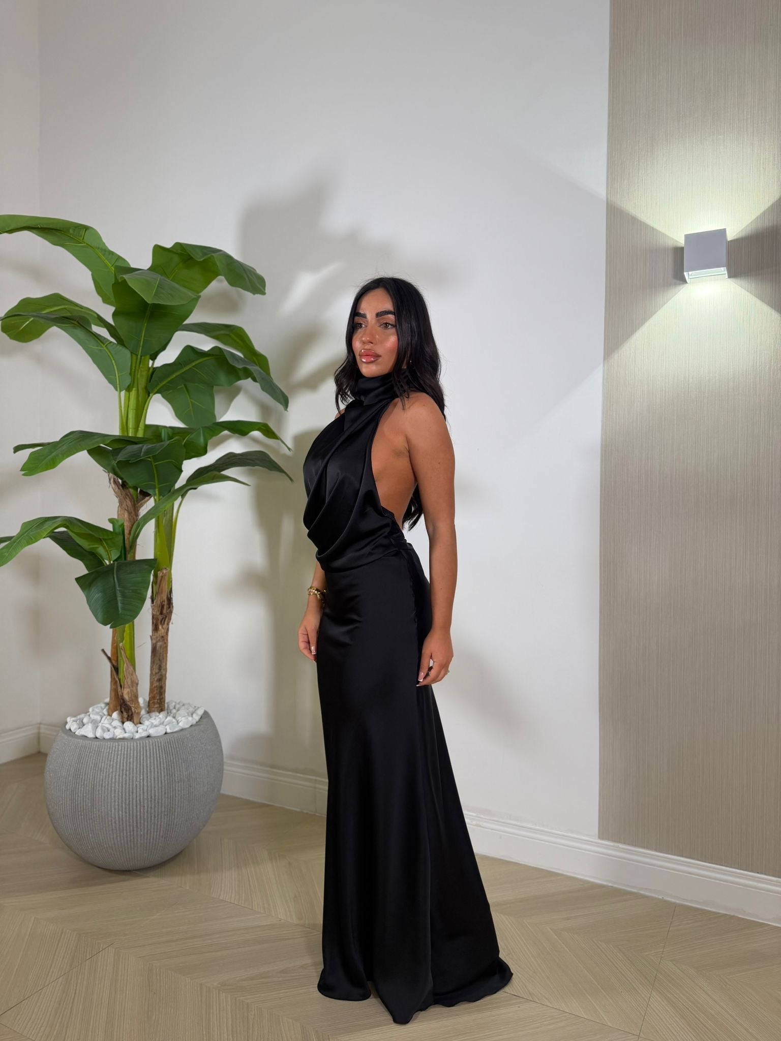 Dress Fanatic