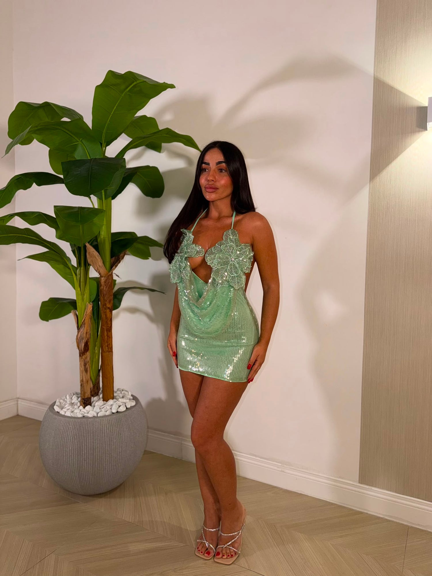 Dress Incanto