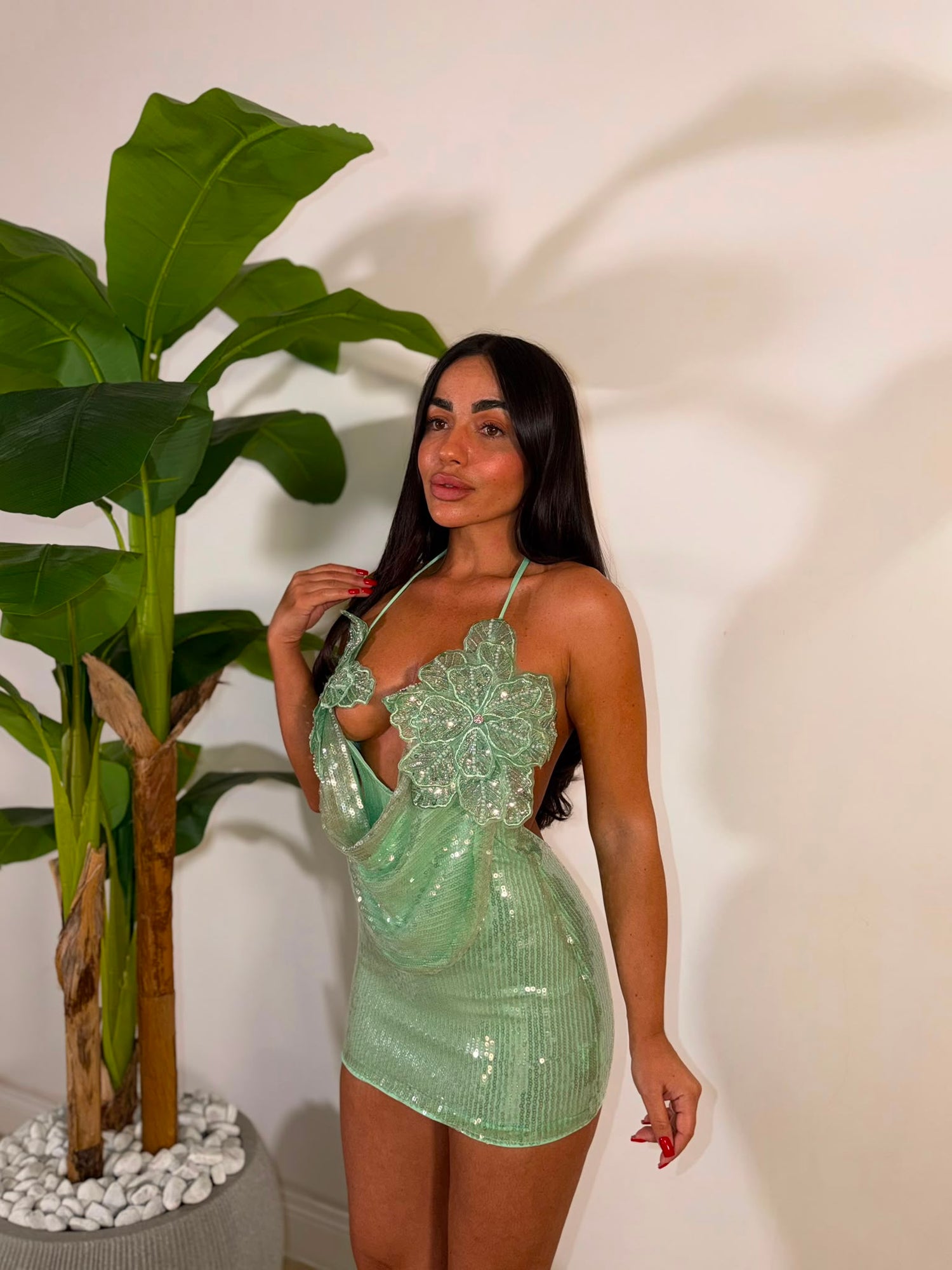 Dress Incanto