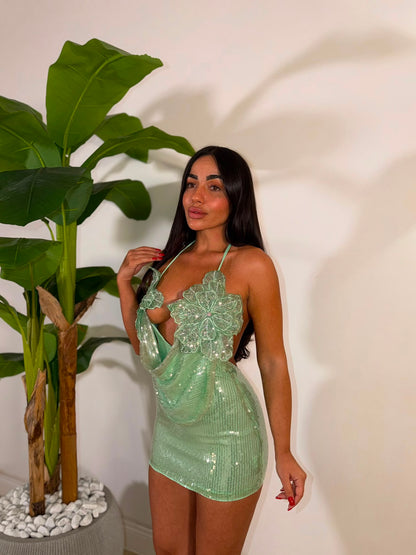 Dress Incanto