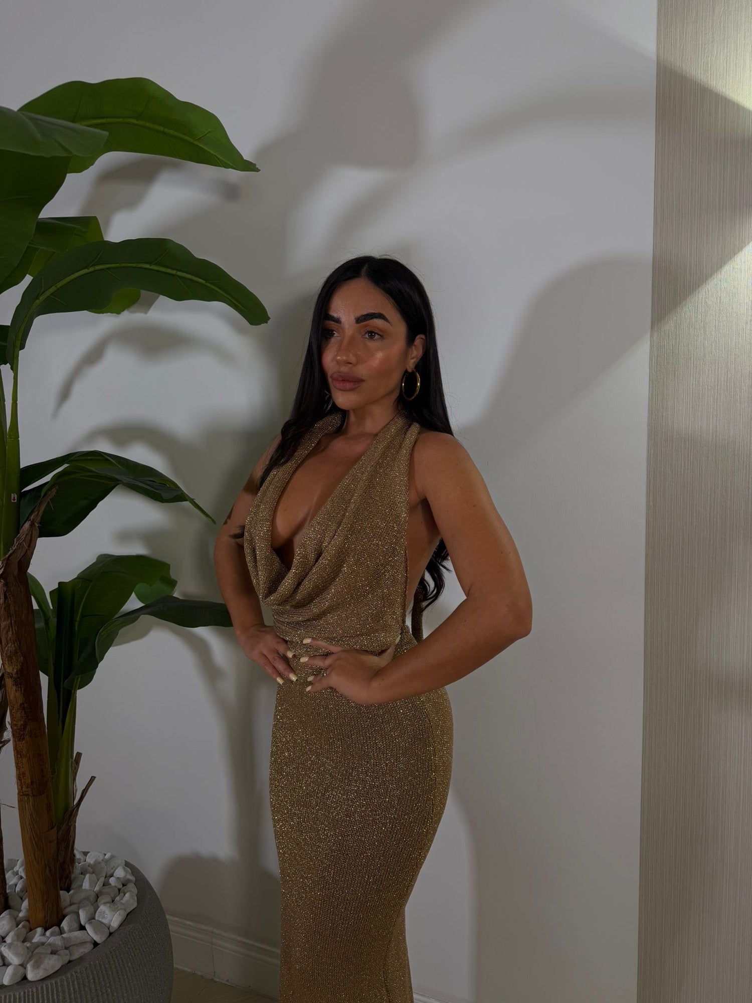 Dress IBZ