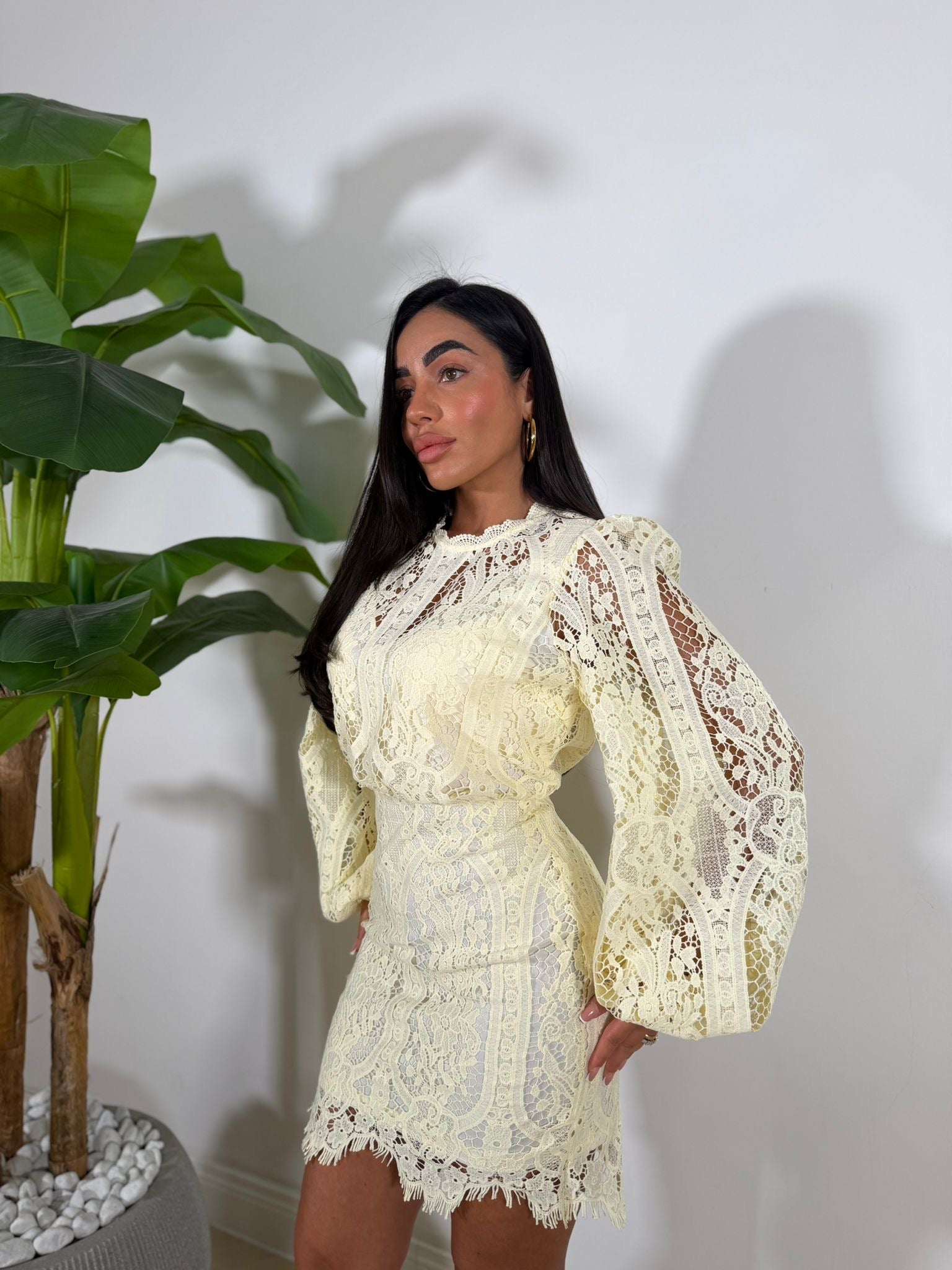 Dress Ethan