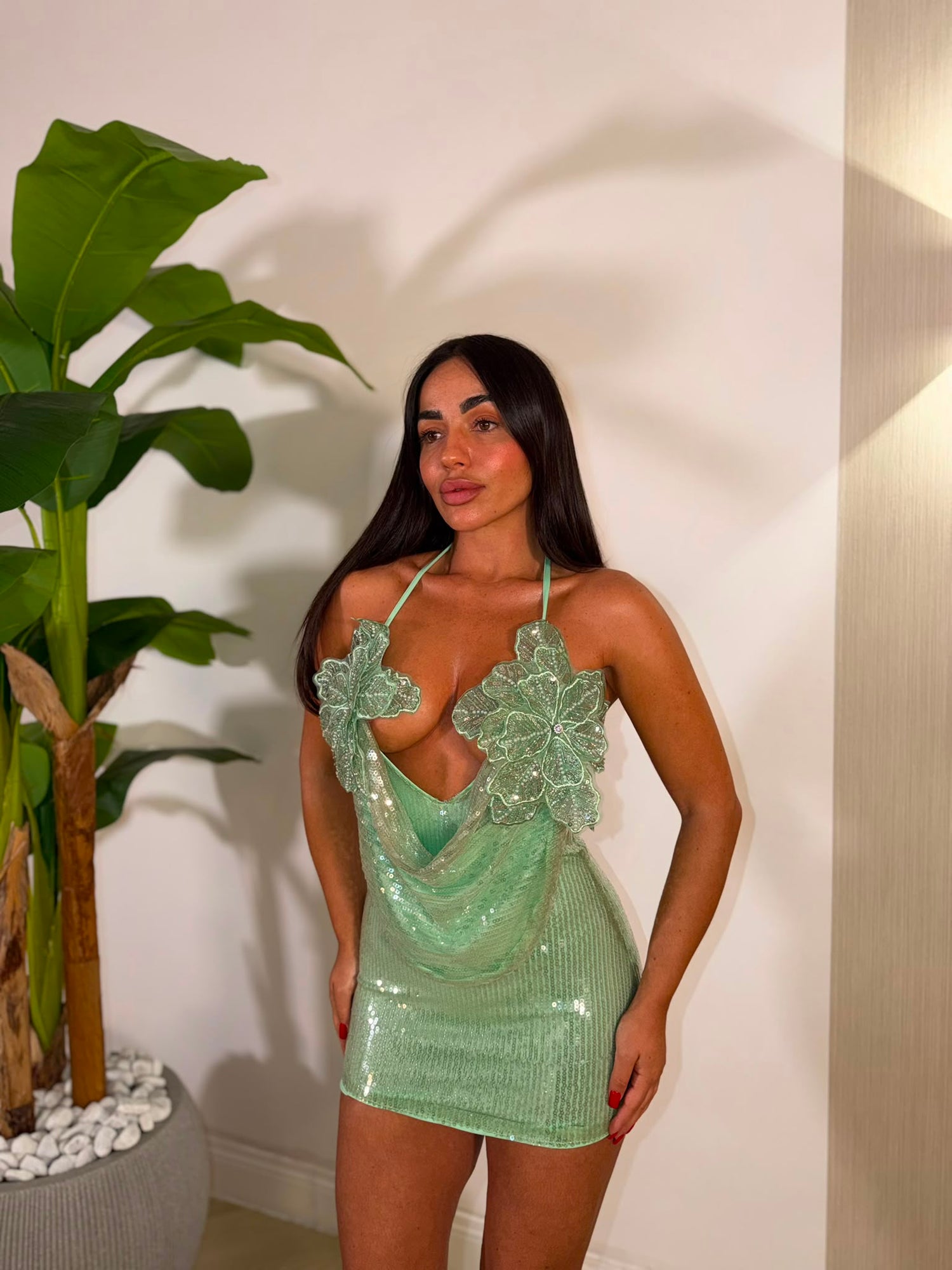 Dress Incanto