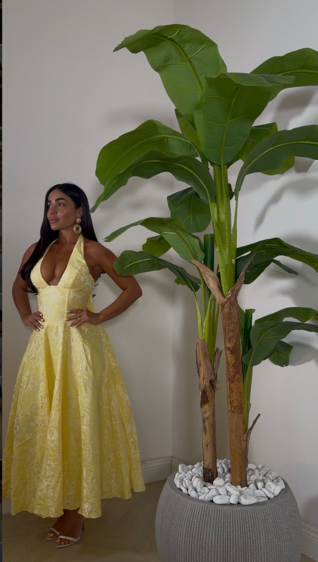 Dress Belle