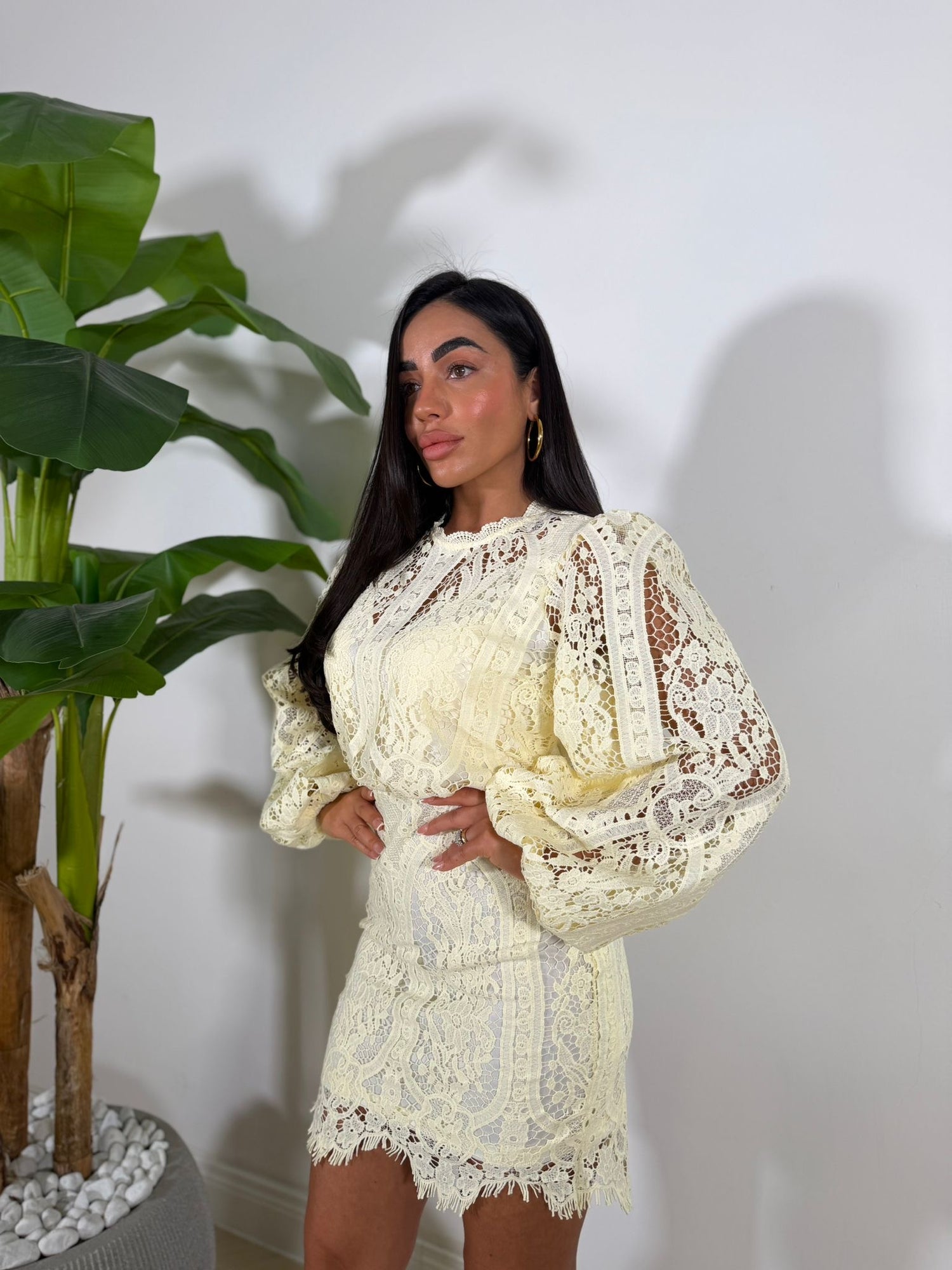 Dress Ethan