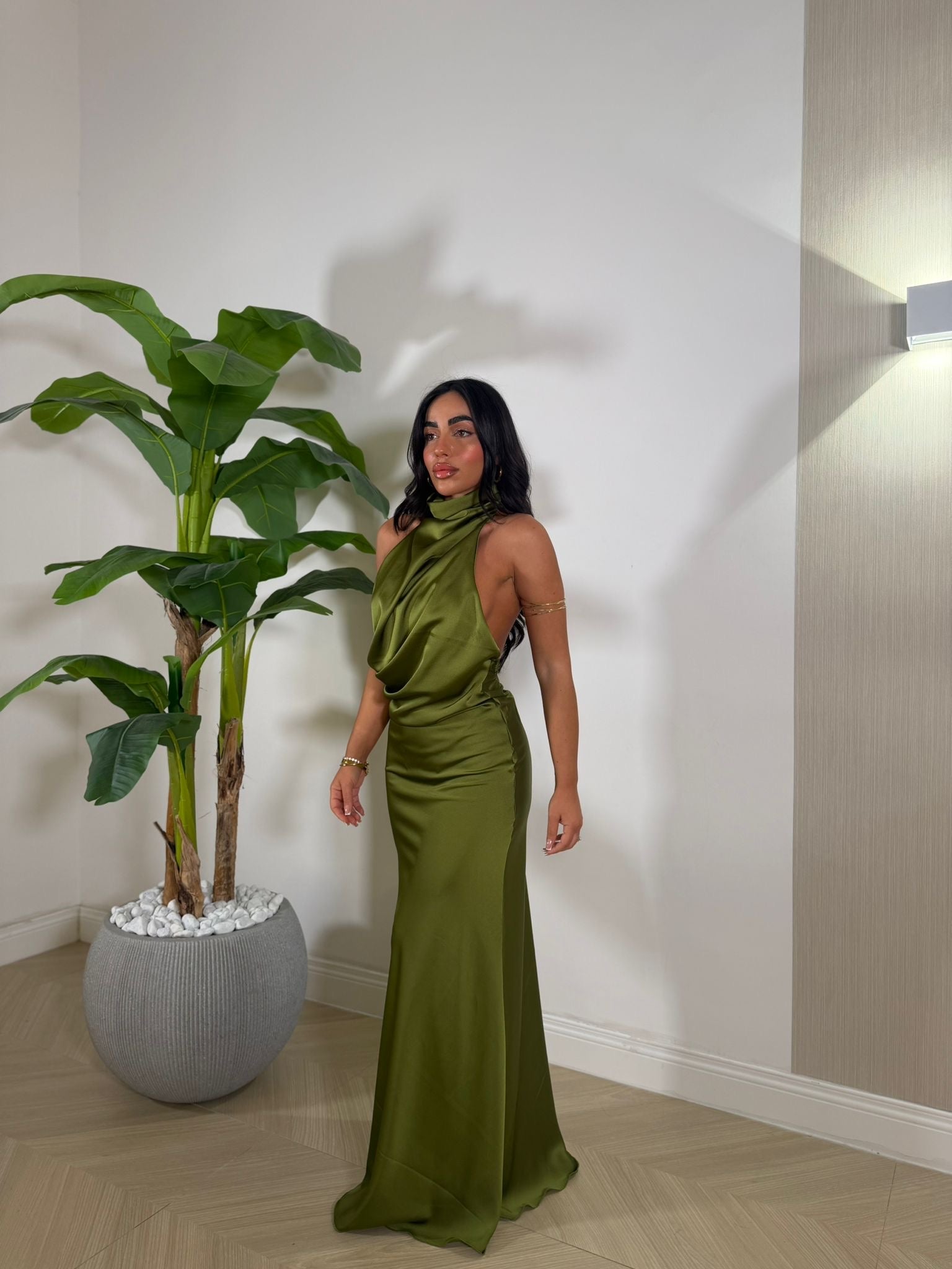 Dress Fanatic