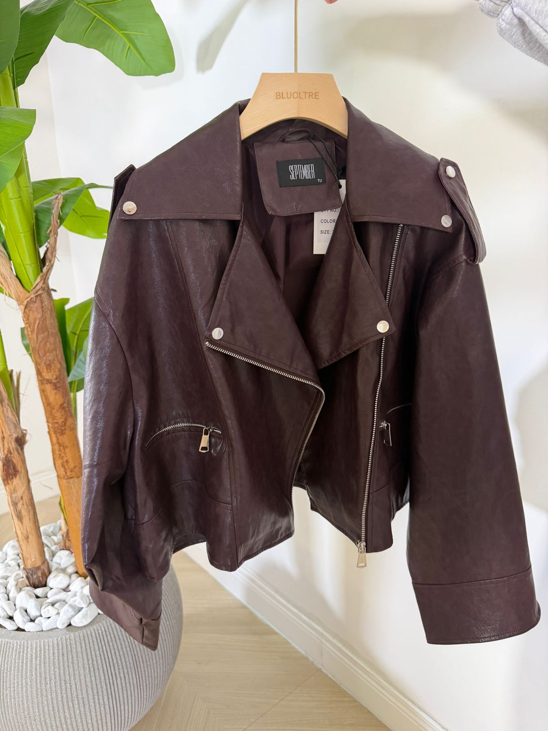 Giubbino Descendants